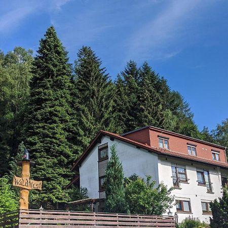 Hotel Waldnest Odenwald Zewnętrze zdjęcie