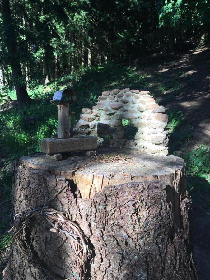 Hotel Waldnest Odenwald Zewnętrze zdjęcie