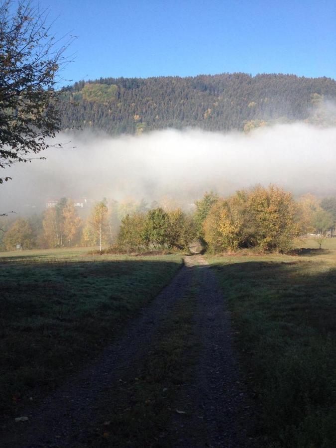 Hotel Waldnest Odenwald Zewnętrze zdjęcie