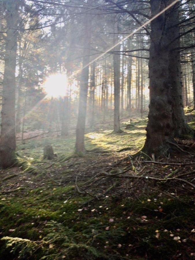 Hotel Waldnest Odenwald Zewnętrze zdjęcie