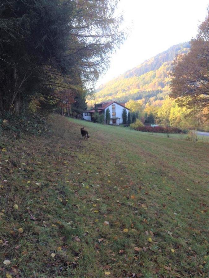 Hotel Waldnest Odenwald Zewnętrze zdjęcie